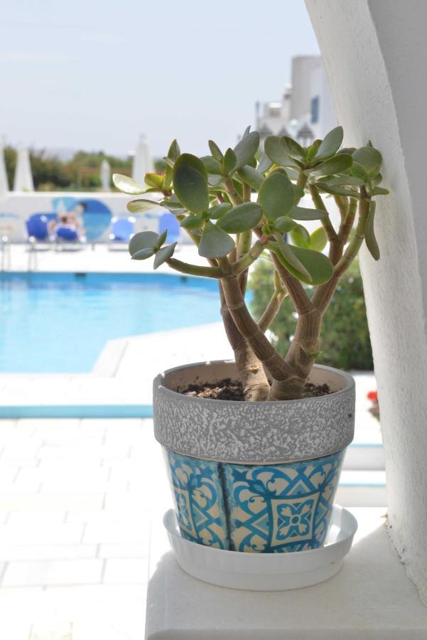 Dedalos Studios Naxos Naxos City Esterno foto