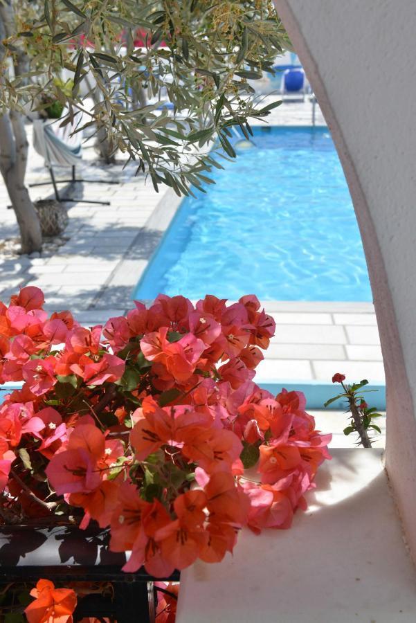 Dedalos Studios Naxos Naxos City Esterno foto