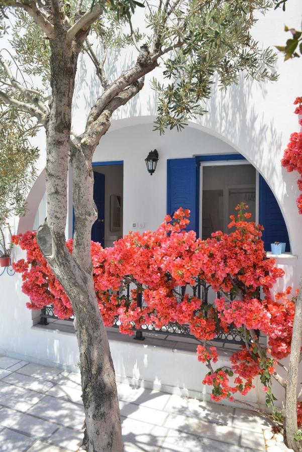 Dedalos Studios Naxos Naxos City Esterno foto