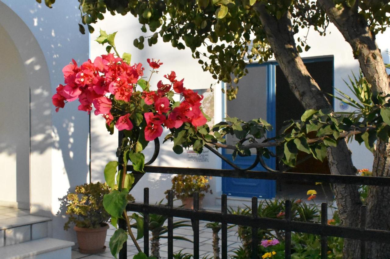 Dedalos Studios Naxos Naxos City Esterno foto