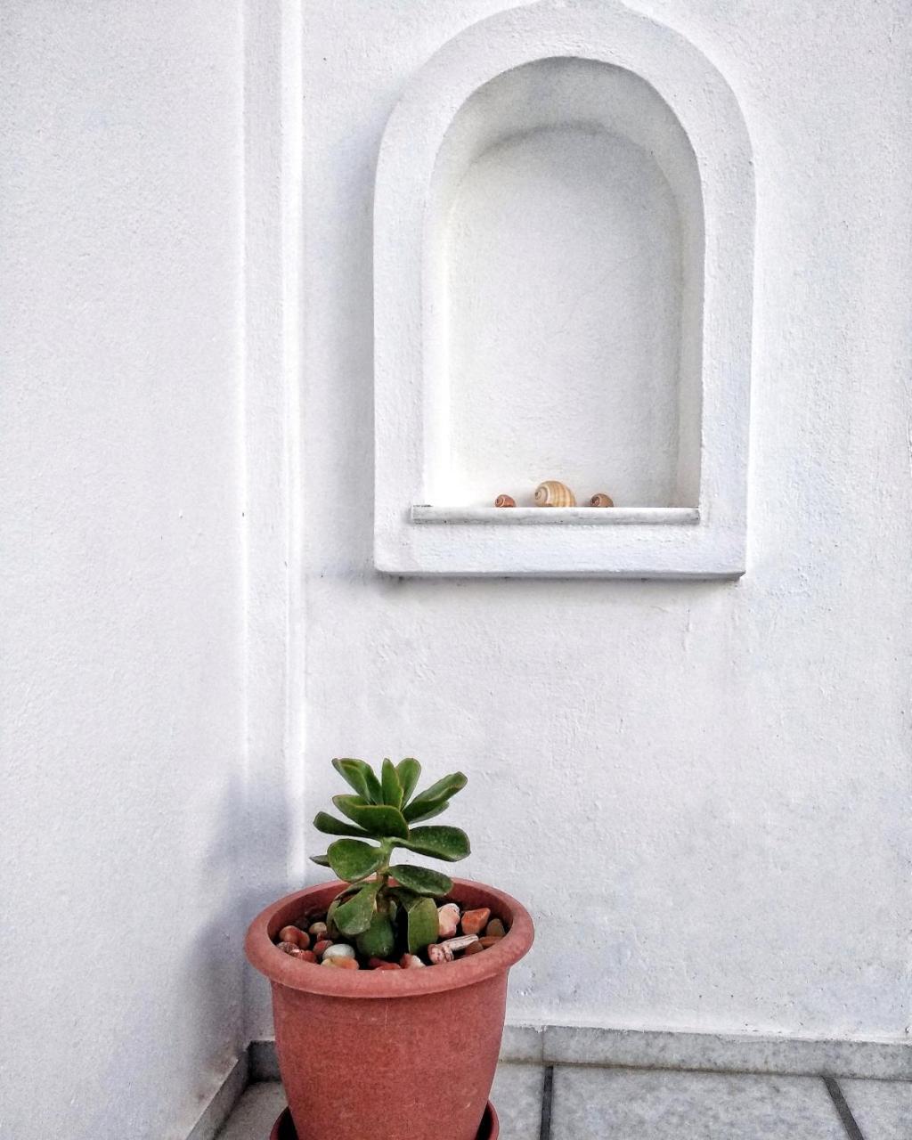 Dedalos Studios Naxos Naxos City Esterno foto